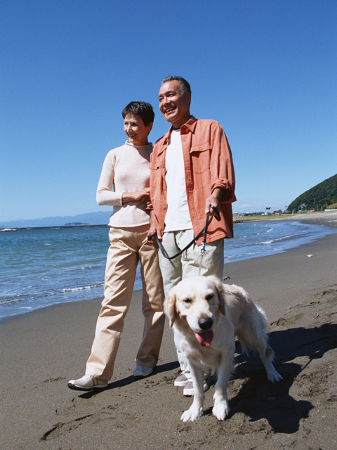 幸せな結婚、愛情深度を深める「人生のパートナーとのより良い関係をつくる」